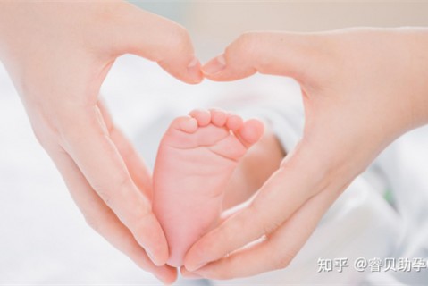 http://shanghai.51dzb.net/post/188.html|上海新闻中心