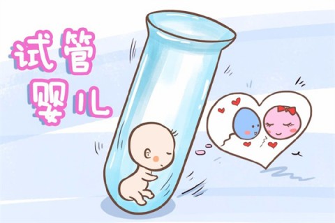 http://shanghai.51dzb.net/post/212.html|上海新闻中心